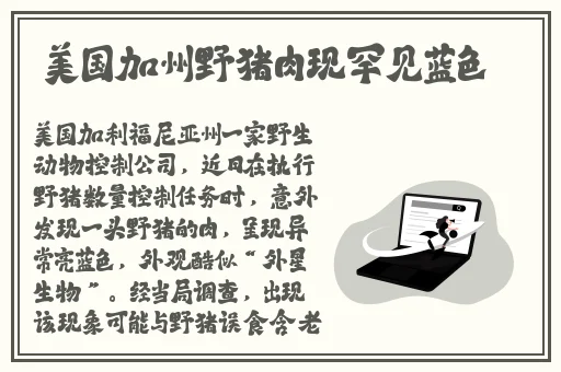 扒哥黑料星野
